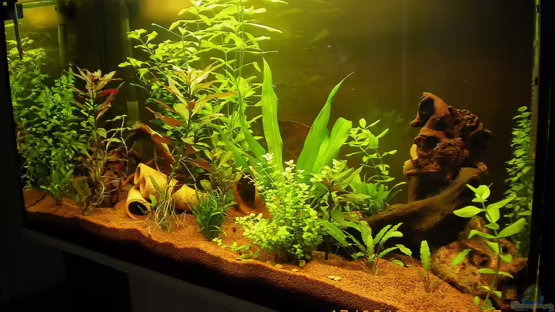 17.05.2009 17.05.2009