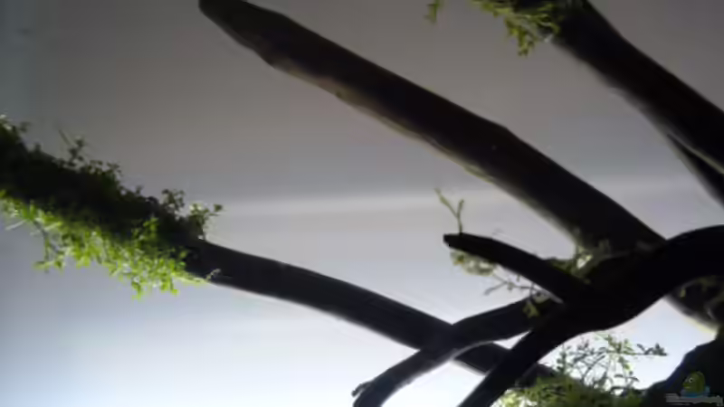 18.03.2014 18.03.2014