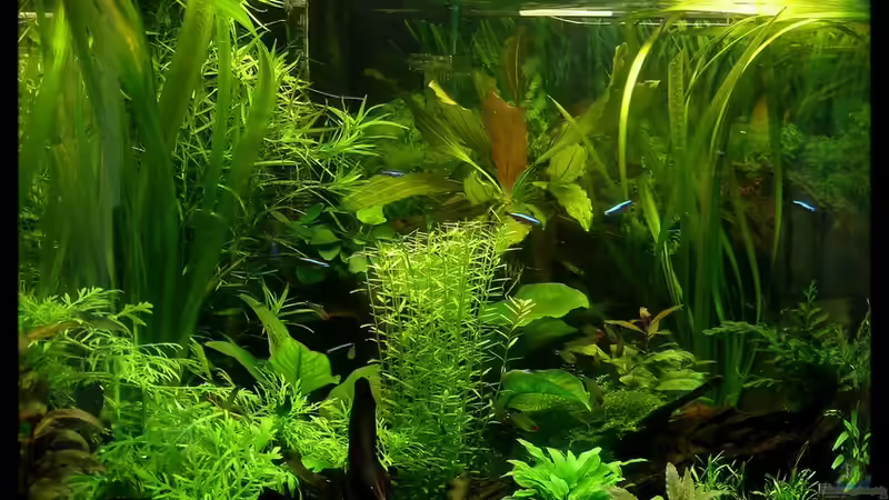 18.04.2010 18.04.2010