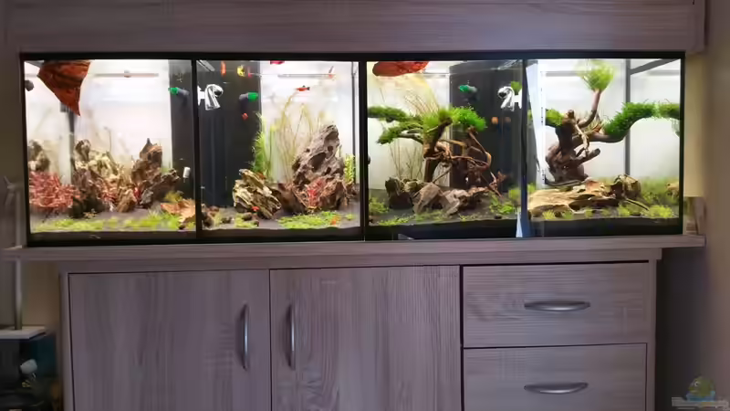 18.07.2015 18.07.2015