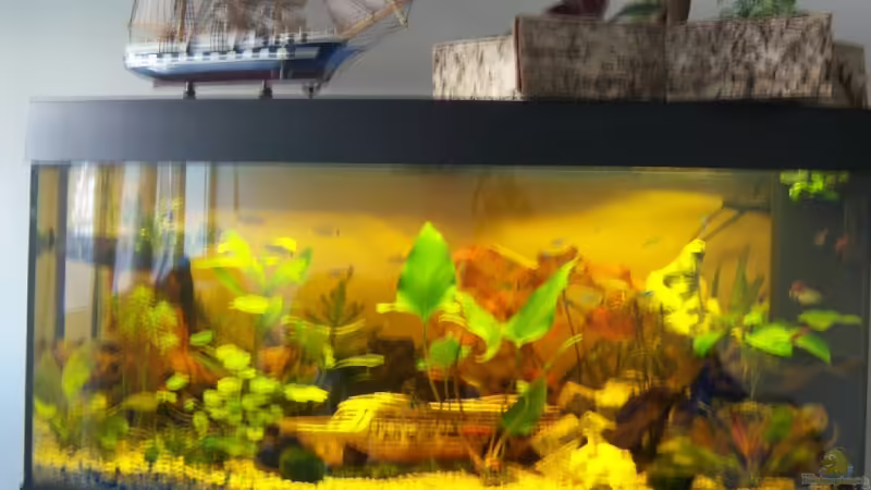 180L Geselschaft 180L Geselschaft