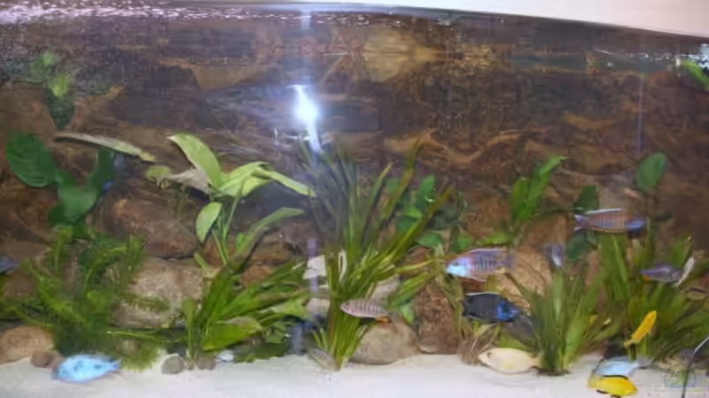 19.02.2009 19.02.2009