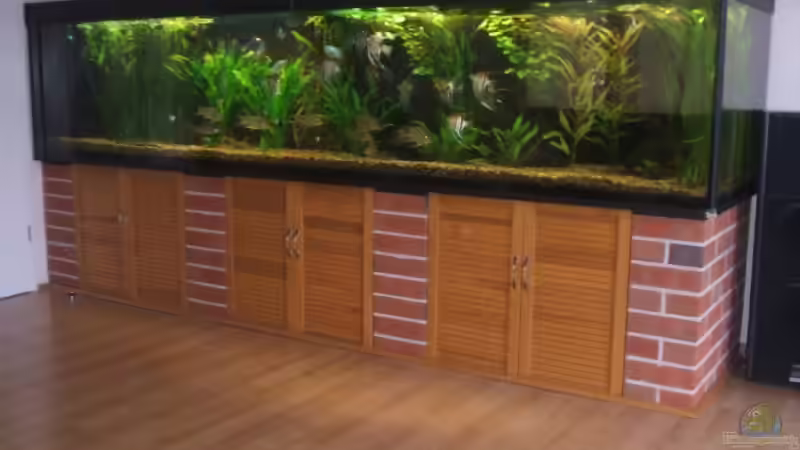 1906 Liter Gesellschaftsbecken 1906 Liter Gesellschaftsbecken