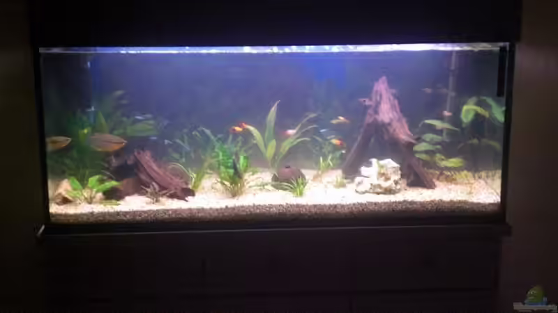 2. Versuch 2. Versuch