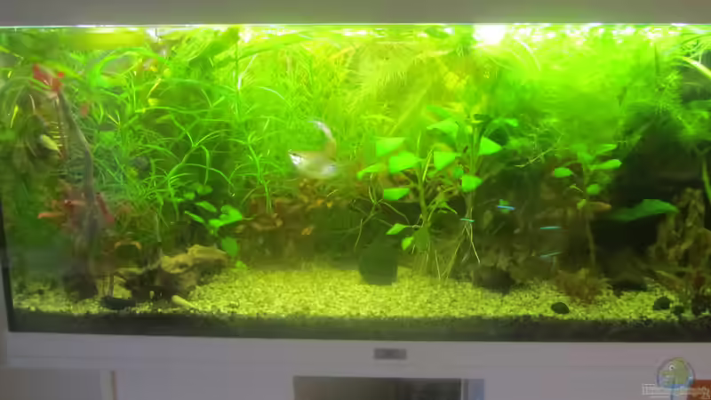 2 Monate nach Umgestaltung 2 Monate nach Umgestaltung