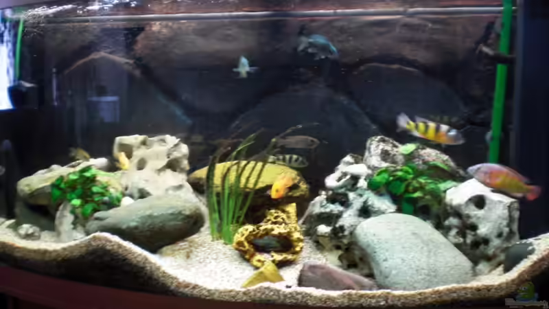 20. Mai 2009 20. Mai 2009