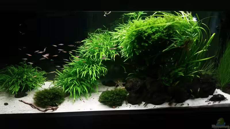 20.08.2017 20.08.2017