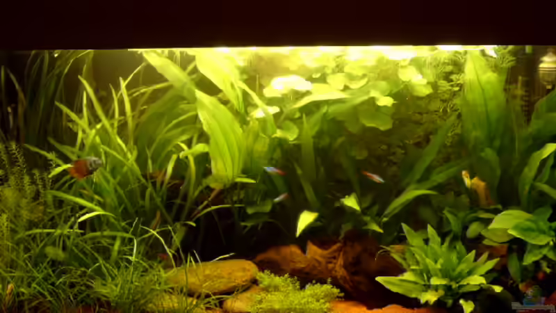 20.10.2006 20.10.2006