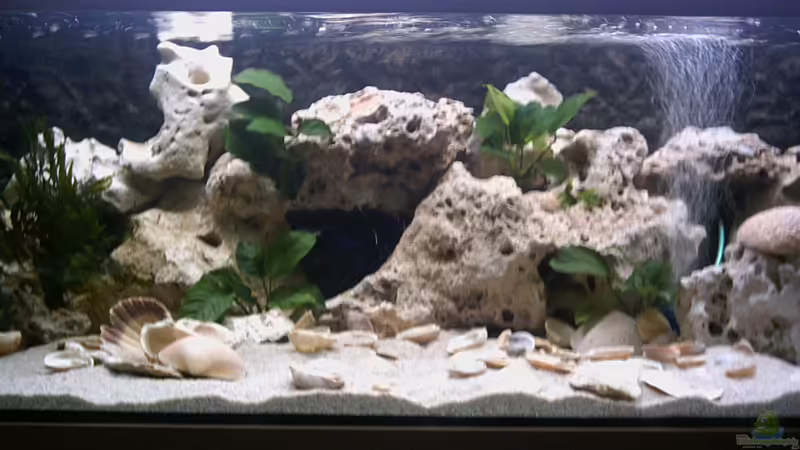 200X60X40 = 480 L 200X60X40 = 480 L