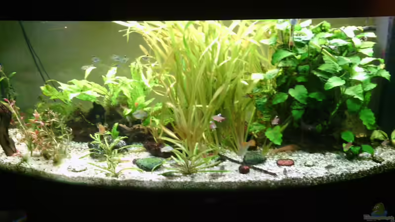 2017 05 02 2017 05 02