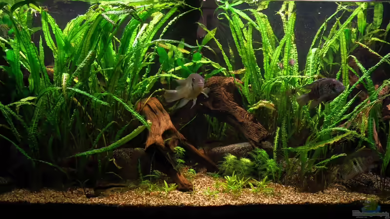 2019-01-20 2019-01-20