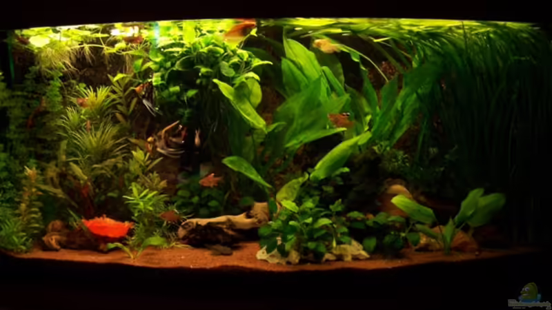 21.09.2007 21.09.2007