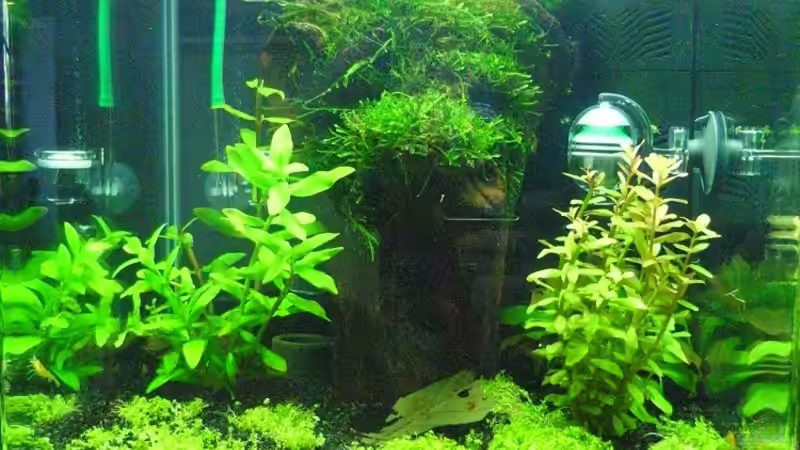 22.06.2012 22.06.2012