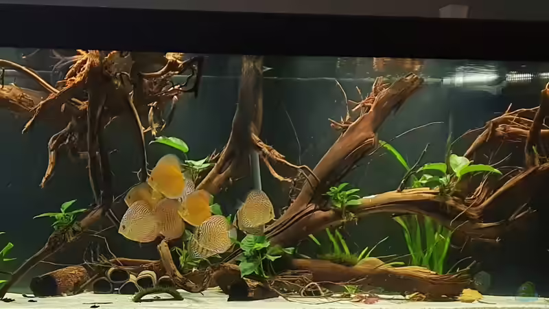 23.02.2020 23.02.2020