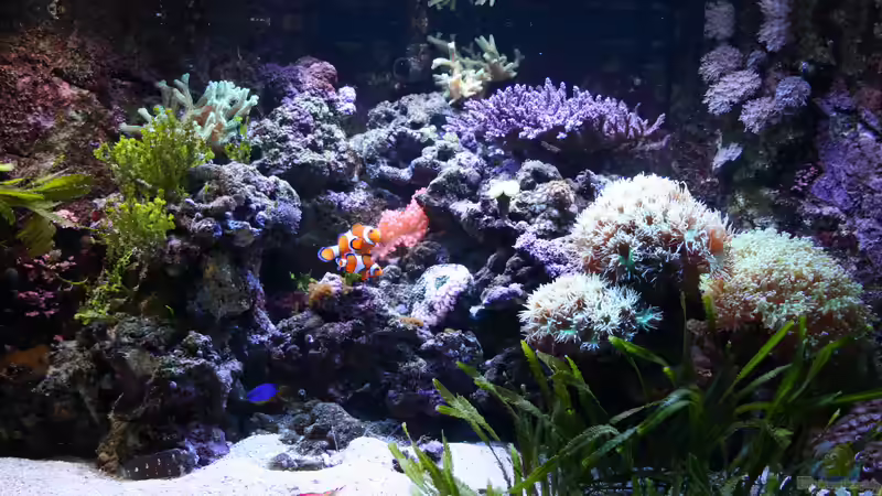 23.12.2017 23.12.2017