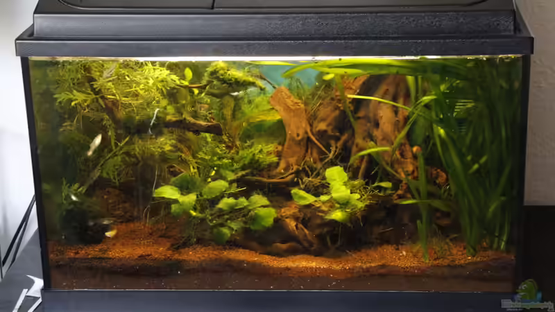 24.04.2013 24.04.2013