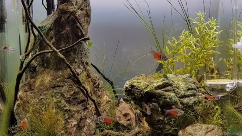 24.05.2020 - Totale ohne LED 24.05.2020 - Totale ohne LED