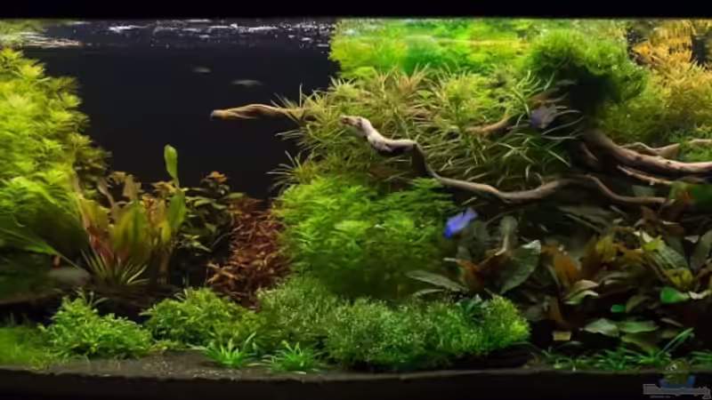 24.11.2013 24.11.2013