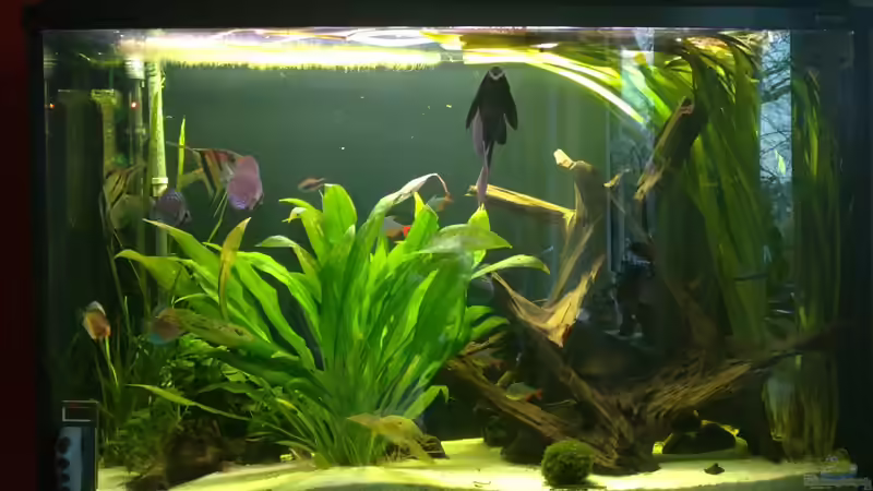 24.12.2011 nach ??bernahme des AQ 24.12.2011 nach ??bernahme des AQ