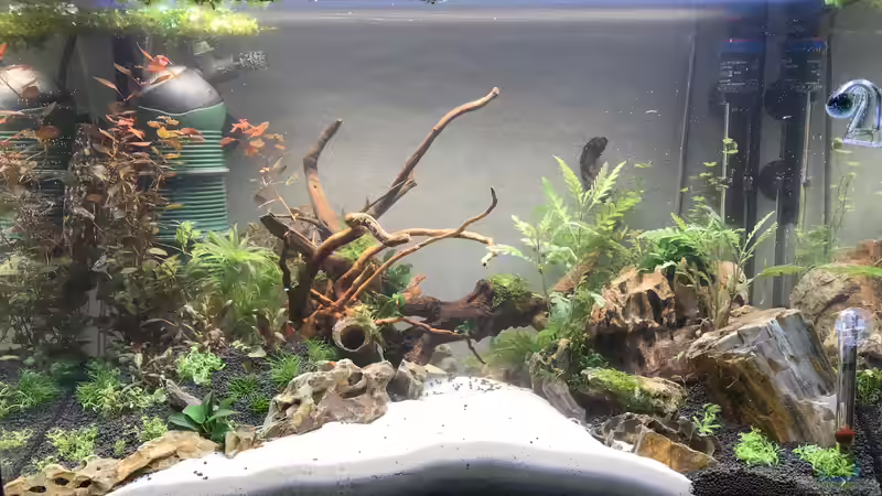 24.12.2018 mein Weihnachtsgeschenk 24.12.2018 mein Weihnachtsgeschenk