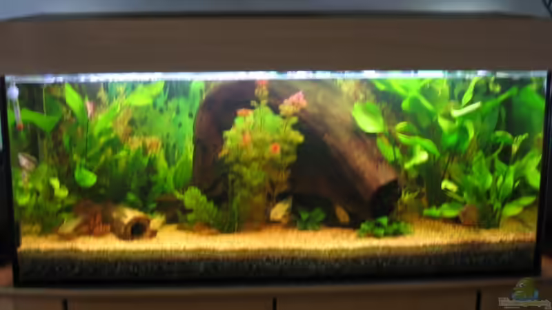 240 Liter Becken 240 Liter Becken