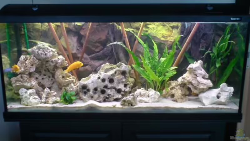 240 Liter Malawi 240 Liter Malawi