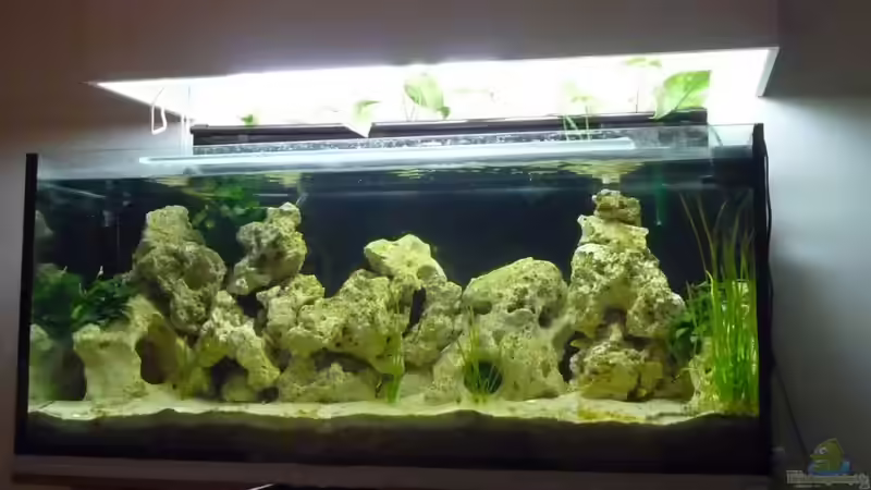 240L Malawi Becken 240L Malawi Becken