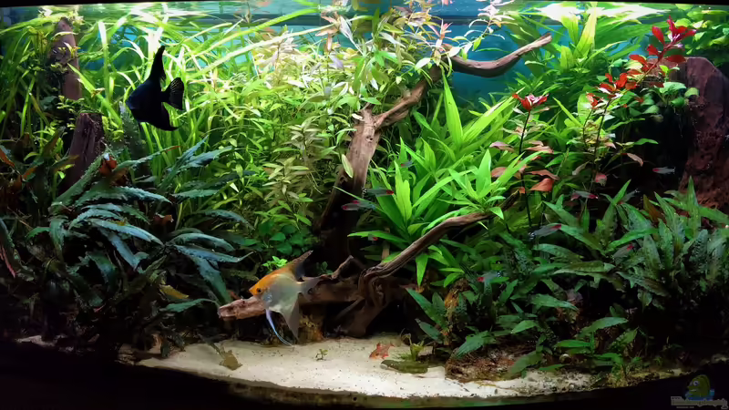 25.06.2020 25.06.2020