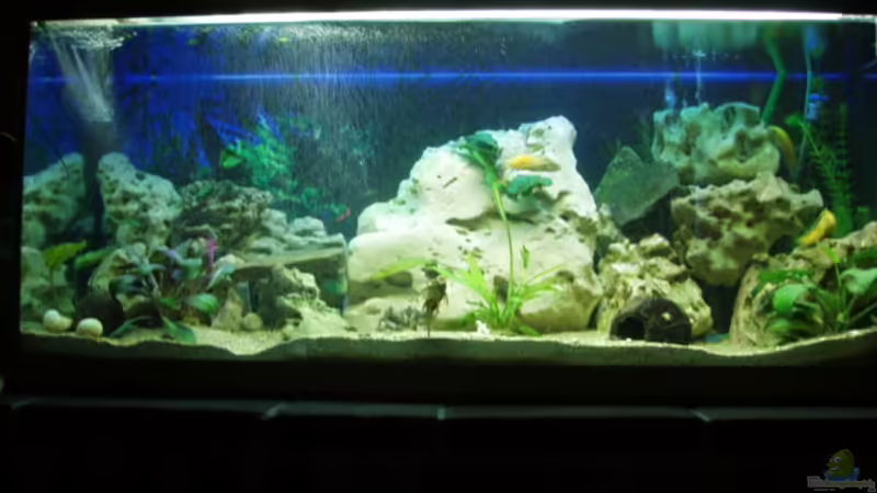 250 Liter Becken 250 Liter Becken