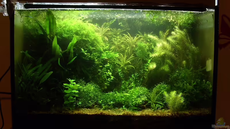 25er im Februar 2010 25er im Februar 2010