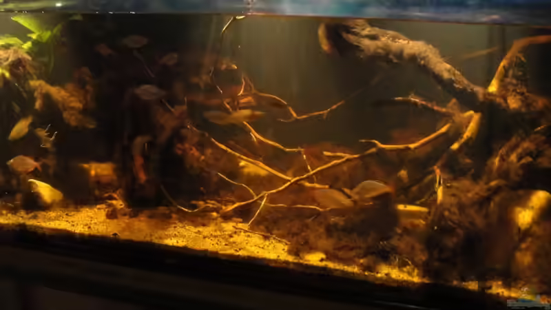 26.08.2015 26.08.2015