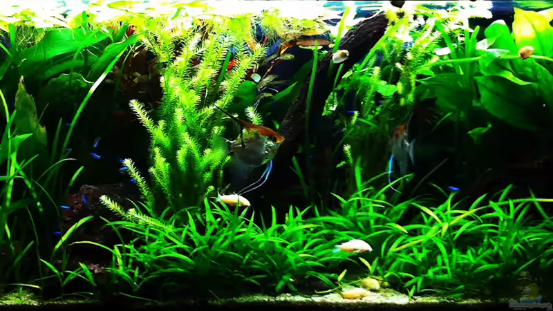 26/12/2011 26/12/2011