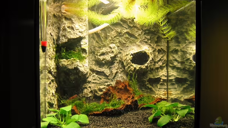 27 Liter Nanobecken 27 Liter Nanobecken