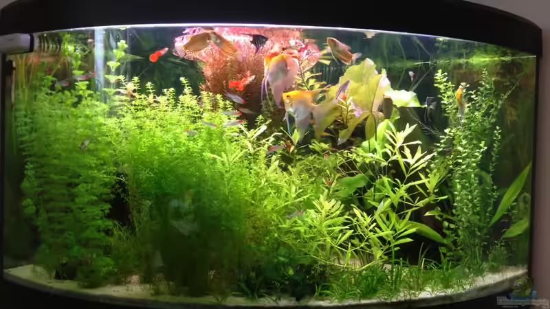 28.02.2013 28.02.2013