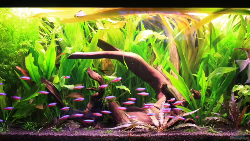 28.04.2014 28.04.2014