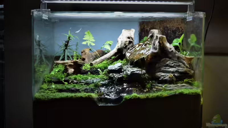 28.06.2020 28.06.2020