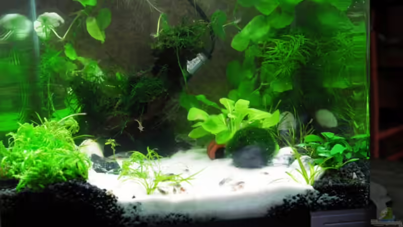 28.10.08 Der Anfang 28.10.08 Der Anfang