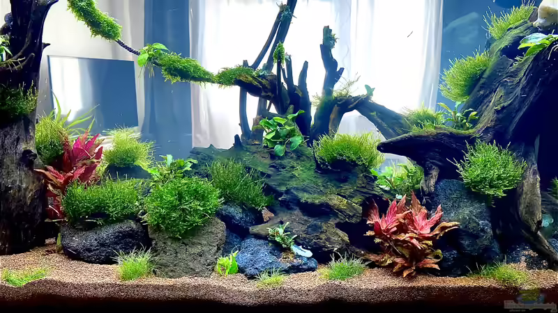 28 Days Later 28 Days Later