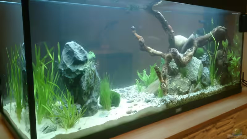 29.April 2014 29.April 2014