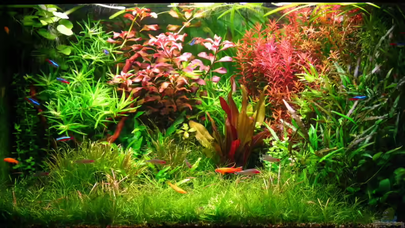 3 Hauptbild 3 Hauptbild