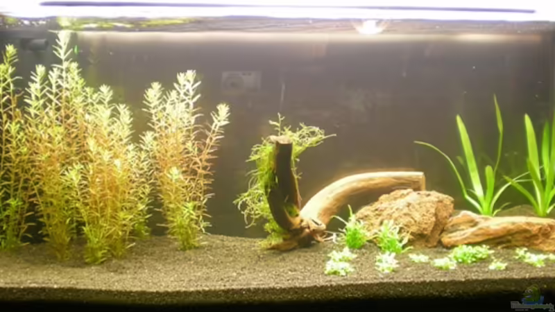 3 Tage nach dem Neueinrichten 3 Tage nach dem Neueinrichten