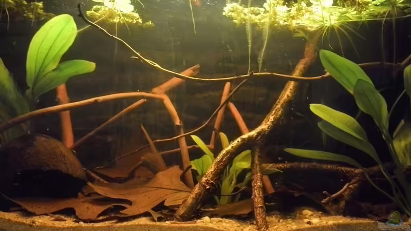 30. November 2014 30. November 2014