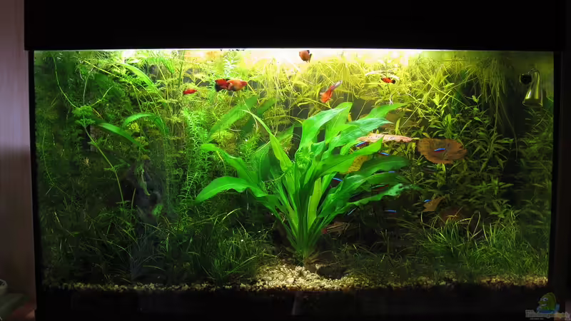 30.03.2010 30.03.2010