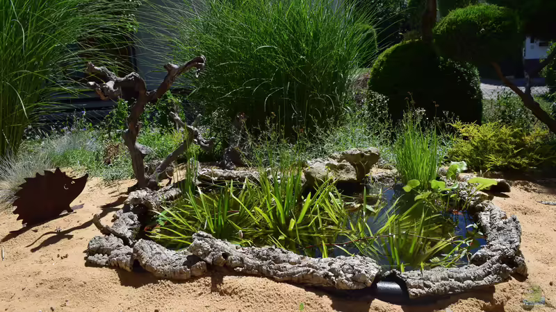 30.06.2019 30.06.2019