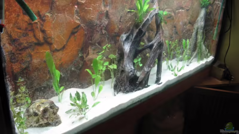 30.11.2012 30.11.2012