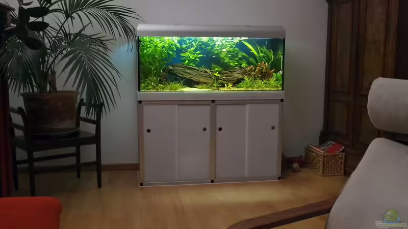 300 Liter Amazonas 8.2009 300 Liter Amazonas 8.2009