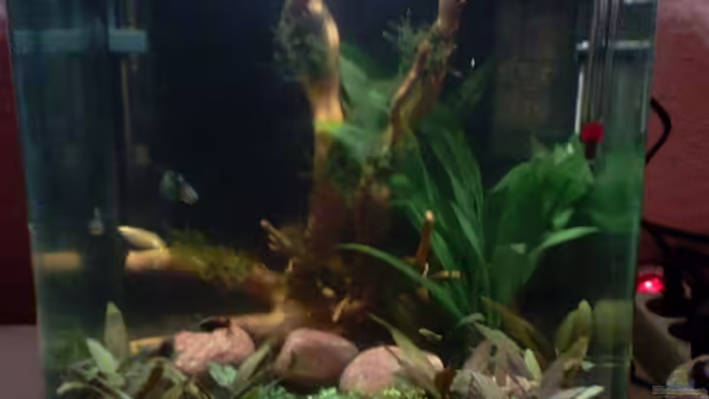 30l Nano Cube 30l Nano Cube