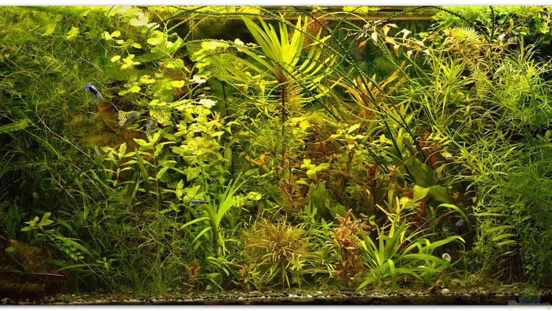 31.12.2014 31.12.2014