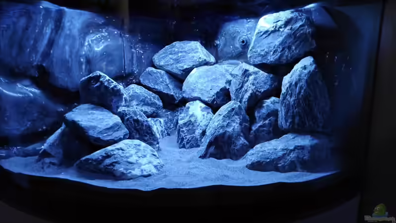 350l Malawi 350l Malawi