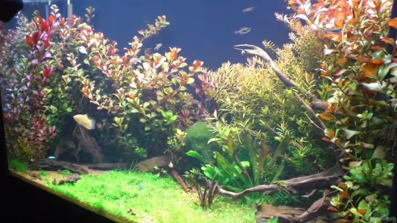 360l Aquarium Stand 22.11.09 360l Aquarium Stand 22.11.09